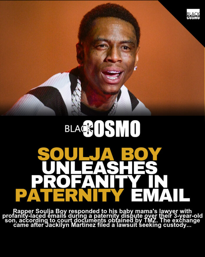 Soulja Boy’s Profane Email to Baby Mama’s Lawyer Exposed in Court Soulja Boy’s Profane Email to Baby Mama’s Lawyer Exposed in Court