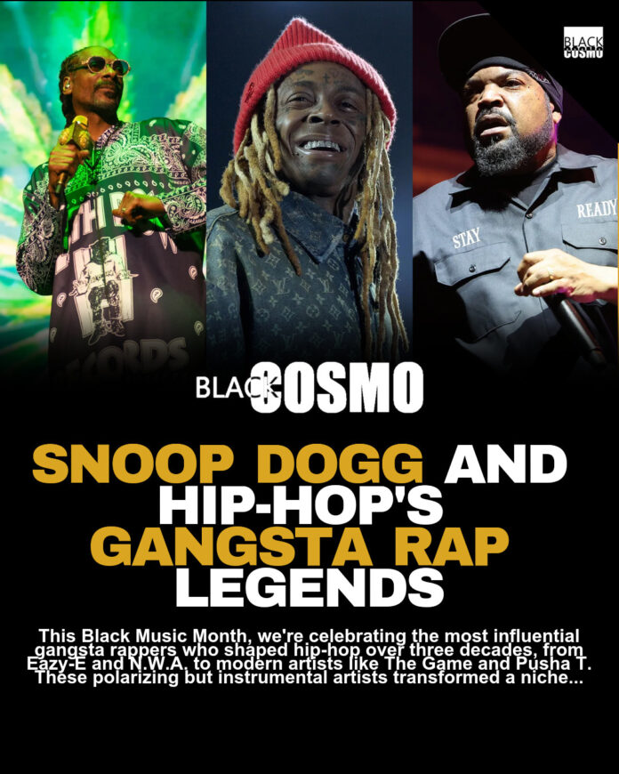 Mainstream Evolution of Gangsta Rap: Snoop Dogg and Beyond Mainstream Evolution of Gangsta Rap: Snoop Dogg and Beyond