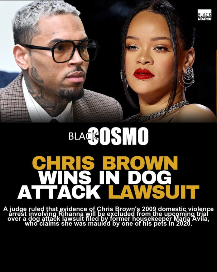 Chris Brown Prevents Rihanna Assault Discussion in $90 Million Dog Bite Case Chris Brown Prevents Rihanna Assault Discussion in $90 Million Dog Bite Case