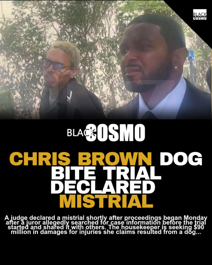 Chris Brown Dog Attack Case Ends in Mistrial Over $90 Million Lawsuit Chris Brown Dog Attack Case Ends in Mistrial Over $90 Million Lawsuit