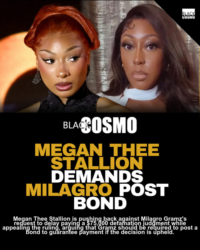 Megan Thee Stallion Seeks $75K From Blogger for Appeal Bond Megan Thee Stallion Seeks $75K From Blogger for Appeal Bond