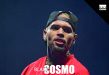 Chris Brown Dog Attack Trial Stalled After Juror Scandal
