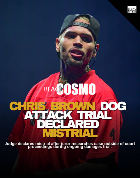 Chris Brown Dog Attack Trial Stalled After Juror Scandal Chris Brown Dog Attack Trial Stalled After Juror Scandal