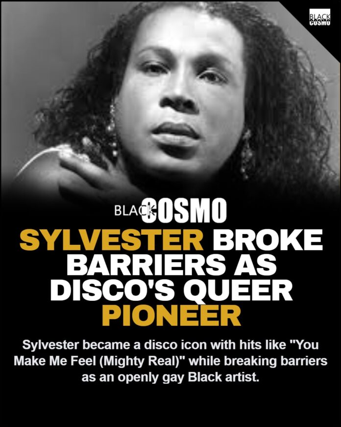 Sylvester’s Fall: When Fame Turned to Betrayal Sylvester’s Fall: When Fame Turned to Betrayal