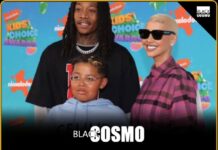 Amber Rose Rejects Traditional Advice on Race for Her Kids A descriptive photo of Amber Rose posing at a public event.