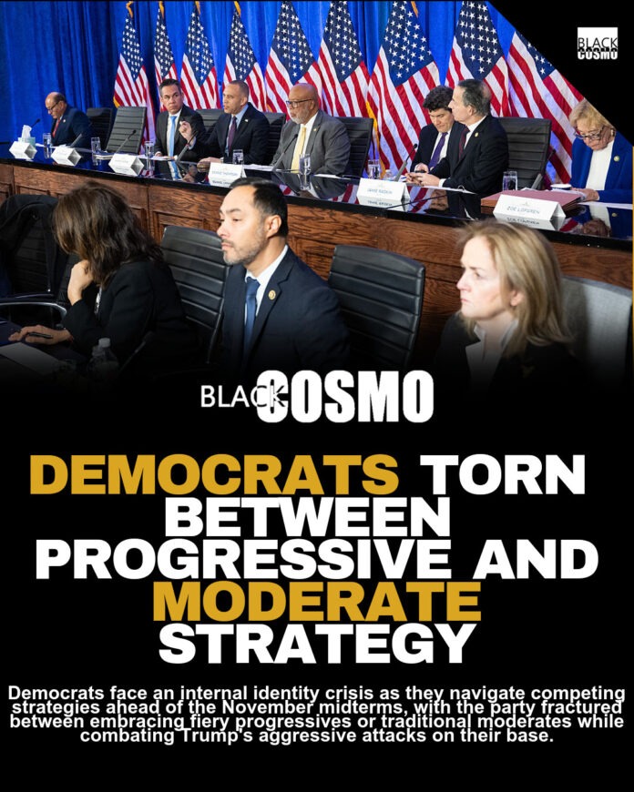 Democrats Seek Strong Leadership to Counter Trump Democrats Seek Strong Leadership to Counter Trump