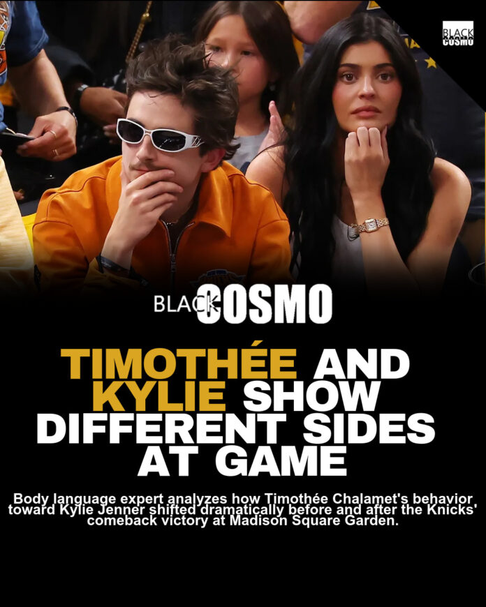 Timothée Chamalet Needed Space From Kylie Jenner Timothée Chamalet Needed Space From Kylie Jenner