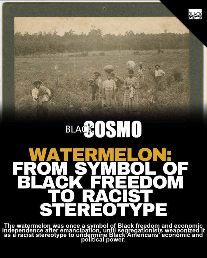 Watermelon Stereotype: Origins and History Watermelon Stereotype: Origins and History