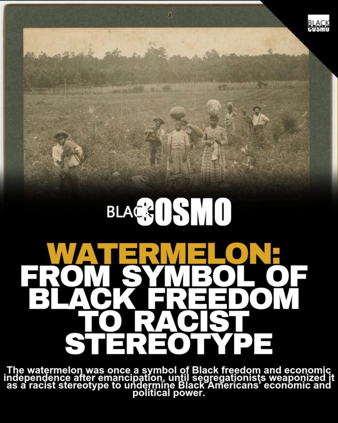 Watermelon Stereotype: Origins and History Watermelon Stereotype: Origins and History