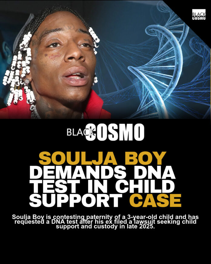 Soulja Boy Seeks DNA Test For Paternity Case Soulja Boy Seeks DNA Test For Paternity Case