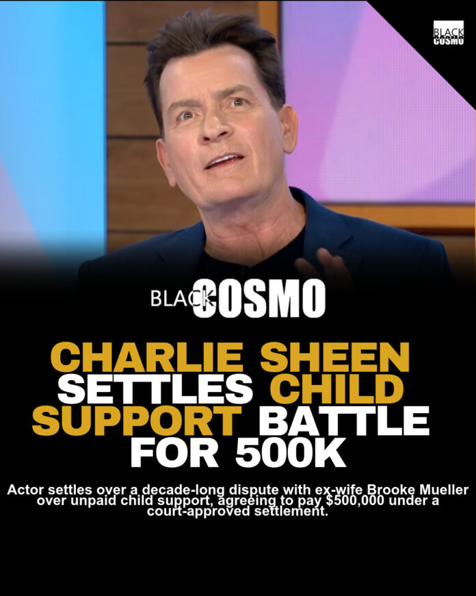 Charlie Sheen Pays $500k Child Support to Brooke Mueller Charlie Sheen Pays $500k Child Support to Brooke Mueller