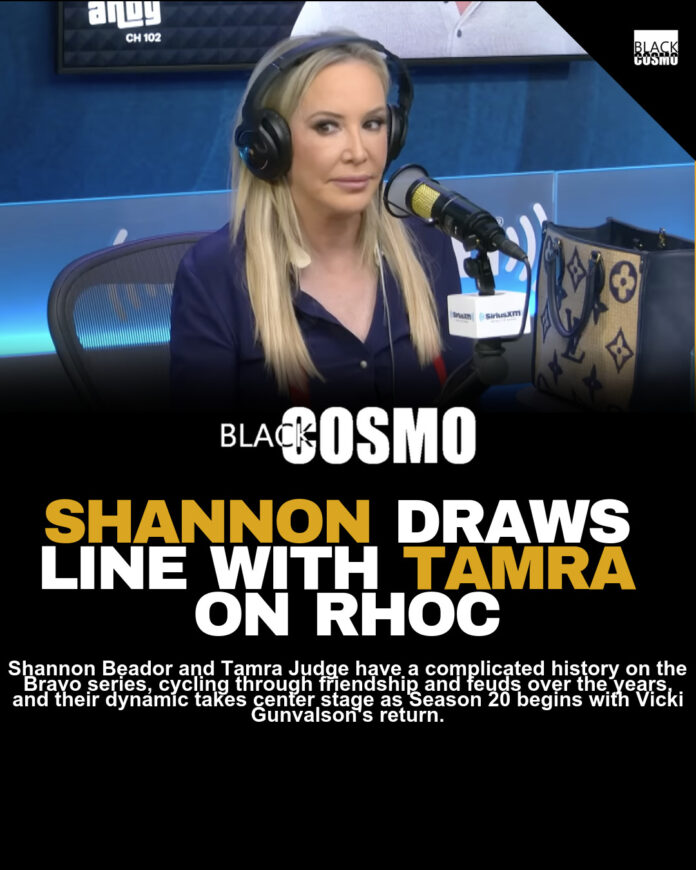 Shannon Beador Rejects Full Tamra Judge Reconciliation Shannon Beador Rejects Full Tamra Judge Reconciliation