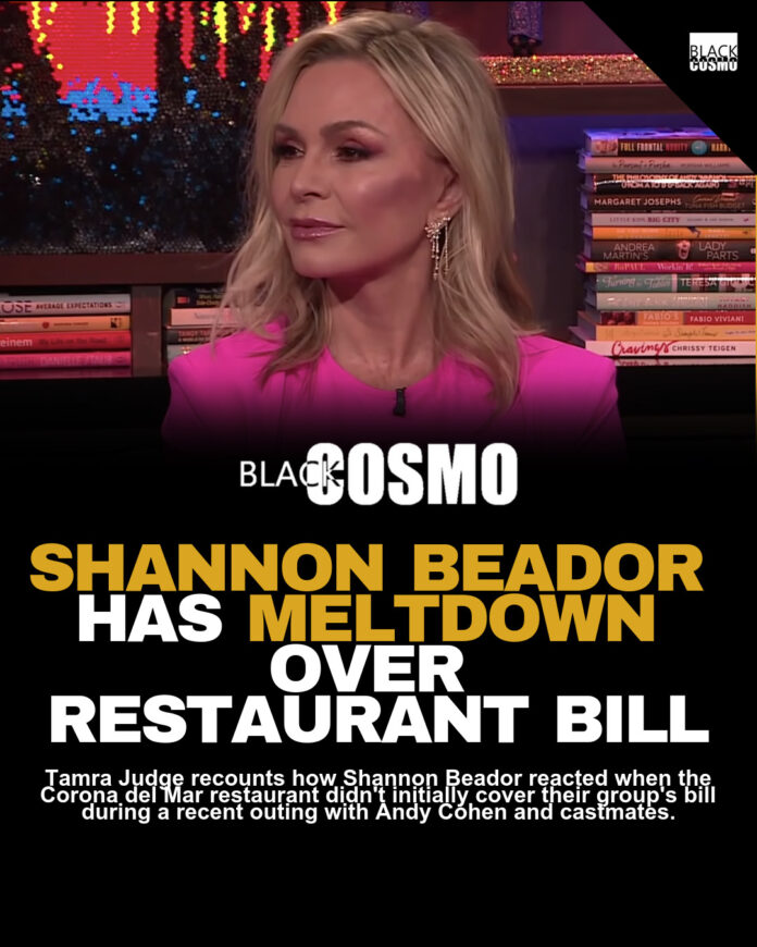Shannon Beador Upset Over Unpaid RHOC Dinner Bill Shannon Beador Upset Over Unpaid RHOC Dinner Bill