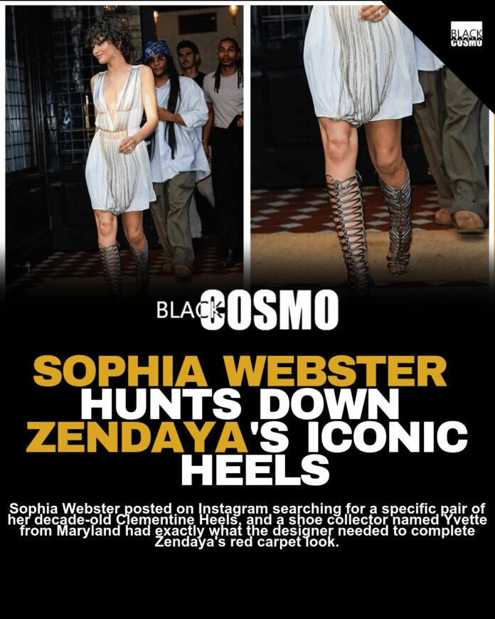 Black Shoe Collector Behind Zendaya’s Rare 2012 Heels Black Shoe Collector Behind Zendaya’s Rare 2012 Heels