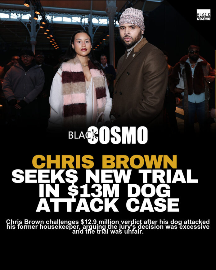 Chris Brown Fights to Overturn $13 Million Judgment Chris Brown Fights to Overturn $13 Million Judgment