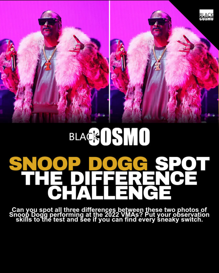 Snoop Dogg Hosting MTV VMAs: Sneaky Switches Snoop Dogg Hosting MTV VMAs: Sneaky Switches