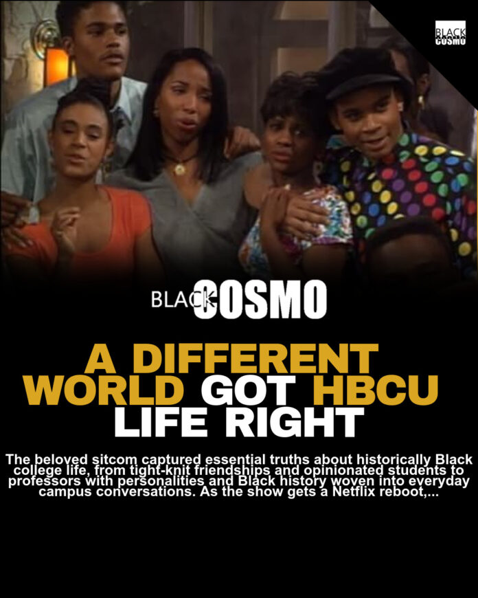 Hillman College: What A Different World Got Right Hillman College: What A Different World Got Right