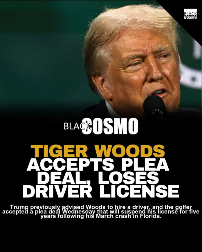 Tiger Woods Loses License for 5 Years: Trump Speaks Tiger Woods Loses License for 5 Years: Trump Speaks