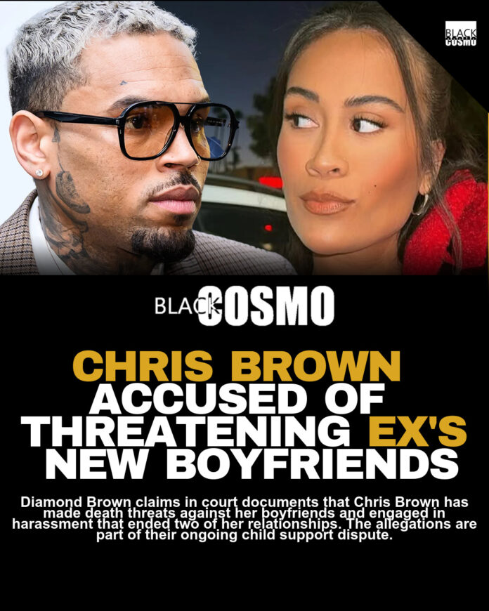 Chris Brown’s Ex Diamond: Threatening & Harassment Claims Chris Brown’s Ex Diamond: Threatening & Harassment Claims